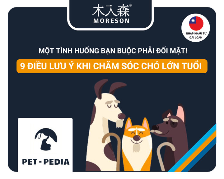 Làm thế nào để chăm sóc tốt những chú Chó già? Và 9 điểm quan trọng cần phải lưu ý!