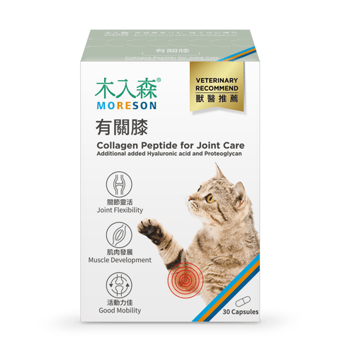 Collagen peptide hỗ trợ xương khớp dành cho mèo 0039