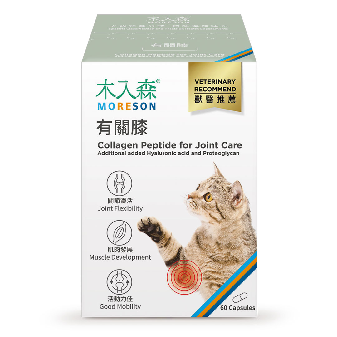 Collagen Peptide Hỗ Trợ Xương Khớp - Ảnh 2