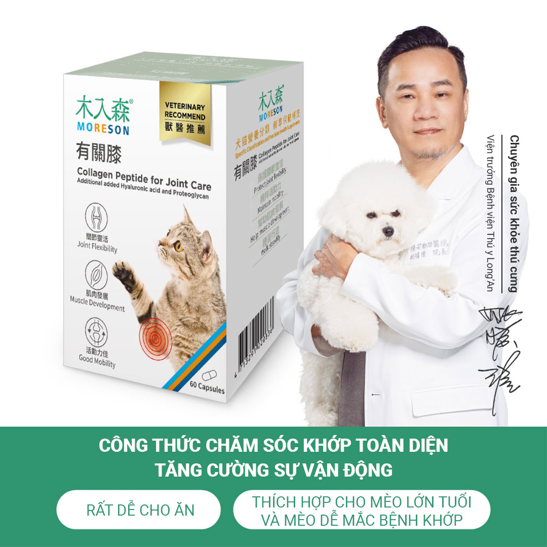 Collagen Peptide Hỗ Trợ Xương Khớp - Ảnh 3