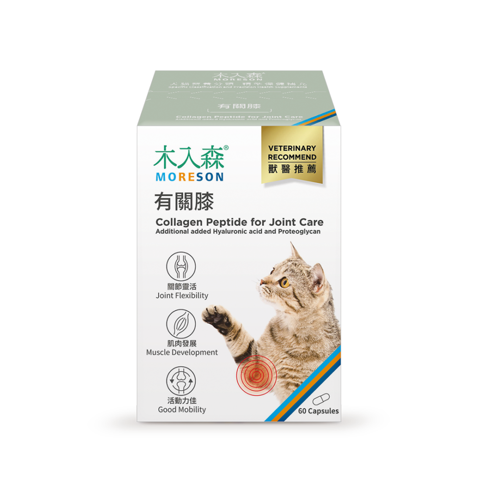 Collagen Peptide Hỗ Trợ Xương Khớp